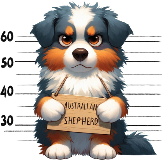 DTF Transfer - Jail Dog Australian Shepard (JDOG2)