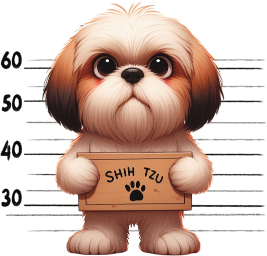 DTF Transfer - Jail Dog Shih Tzu (JDOG23)