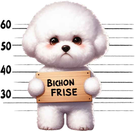 DTF Transfer - Jail Dog Bichon Frise (JDOG3)