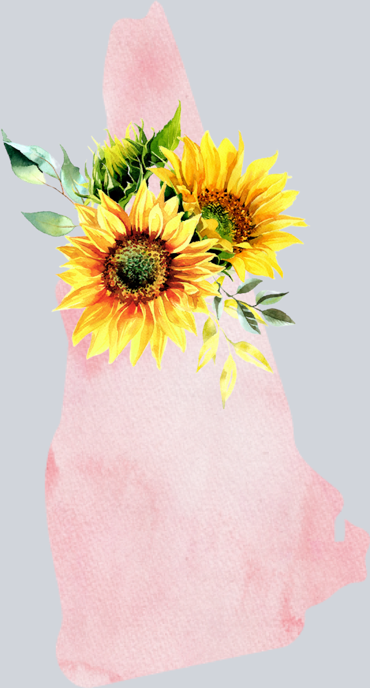 DTF Transfer New Hampshire - Sunflower Watercolor