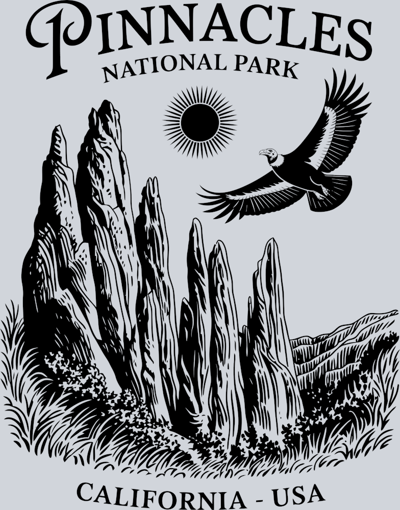 DTF Transfer National Parks - Pinnacles National Park