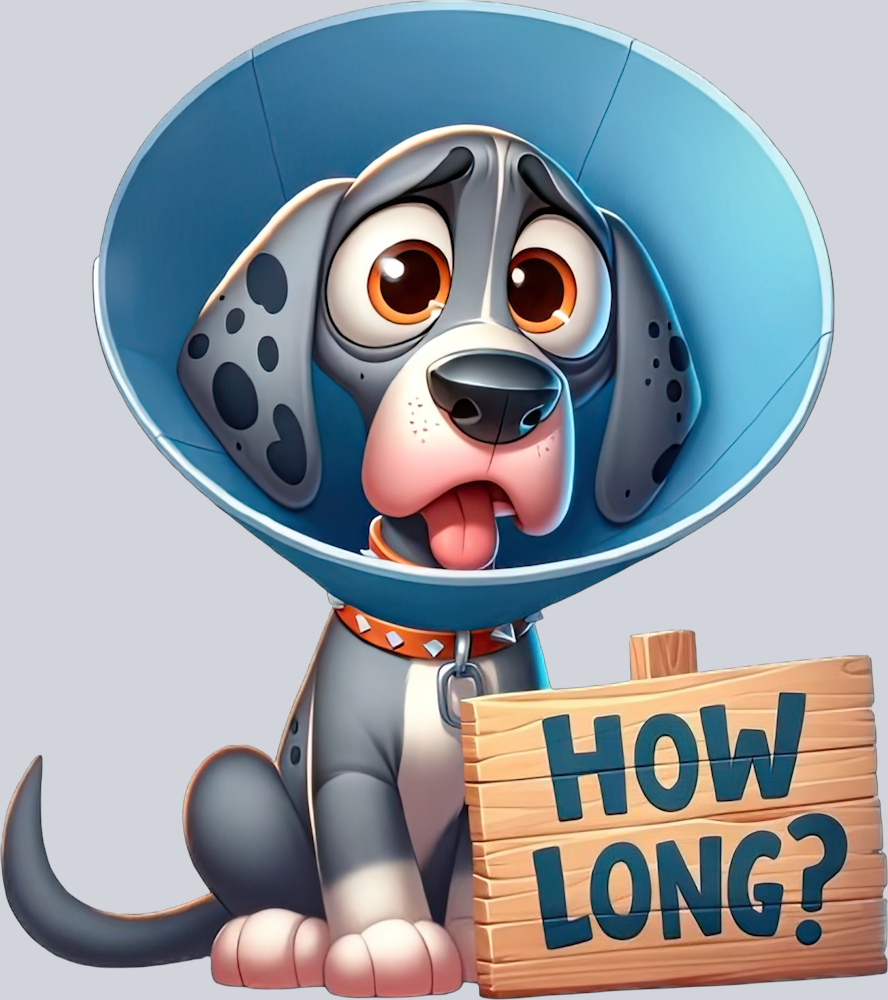 DTF Transfer Dogs - How Long Great-Dane