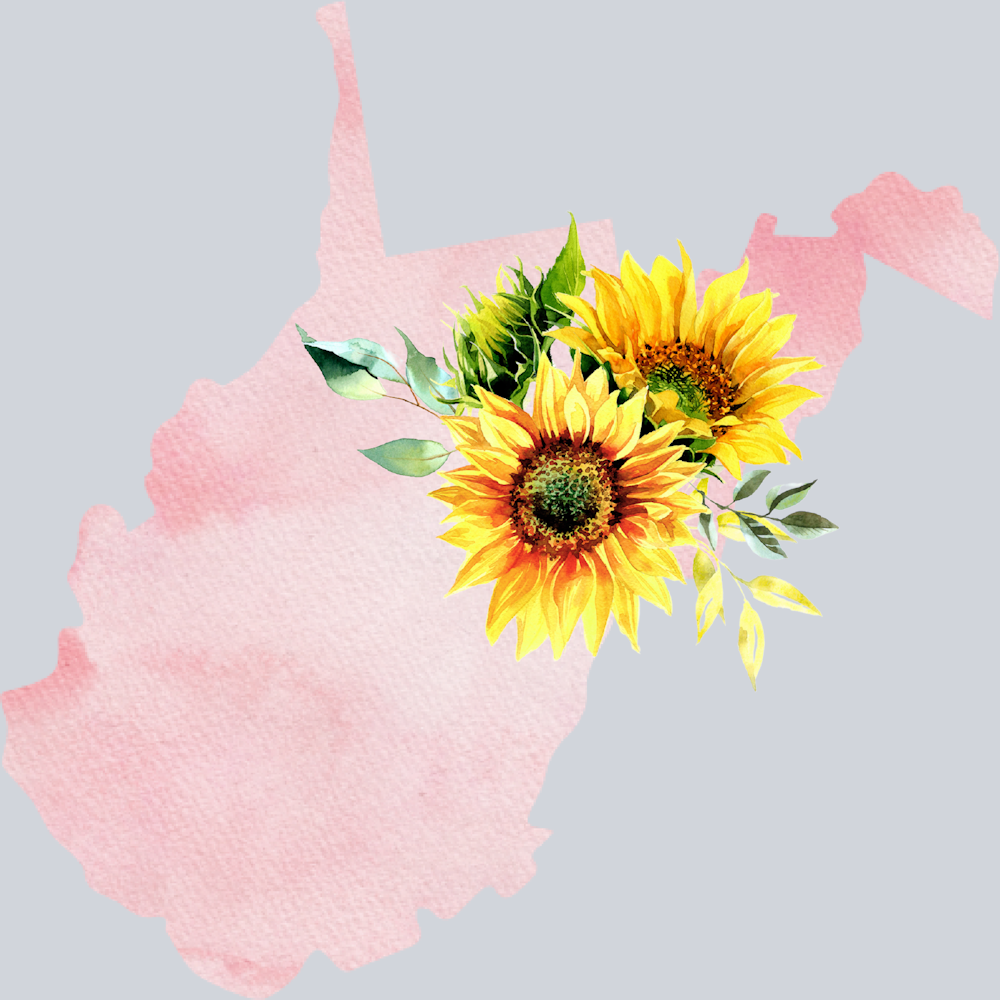 DTF Transfer West Virginia - Sunflower Watercolor