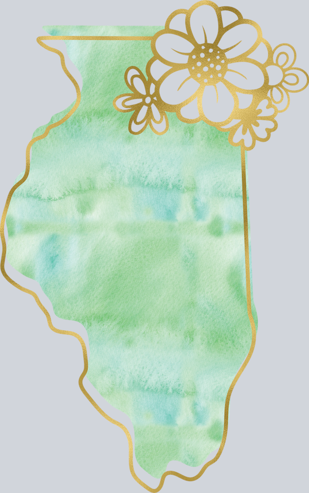 DTF Transfer Illinois - Watercolor