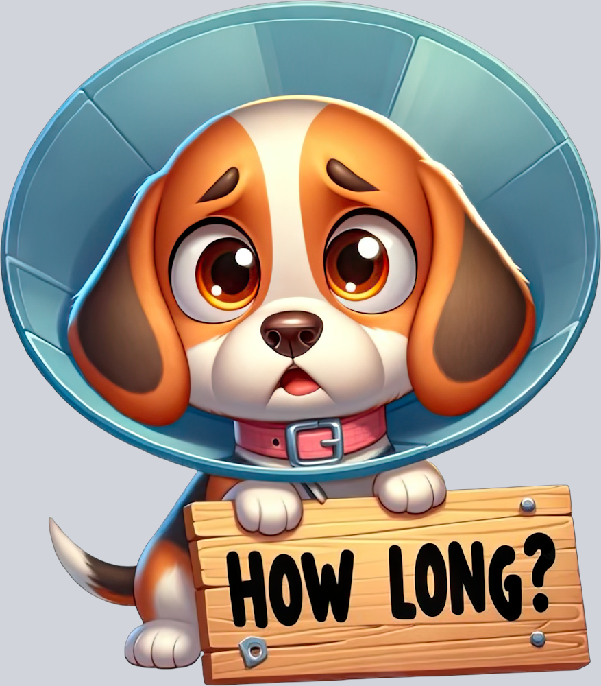 DTF Transfer Dogs - How Long Beagle