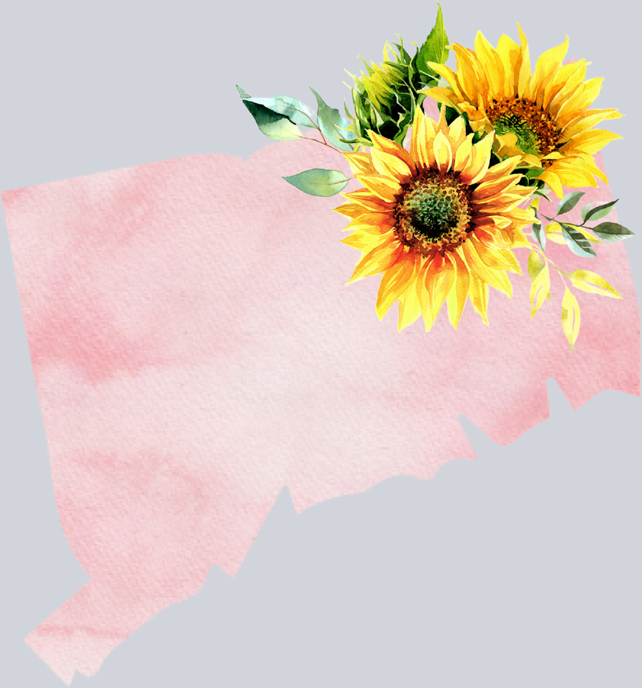 DTF Transfer Connecticut - Sunflower Watercolor