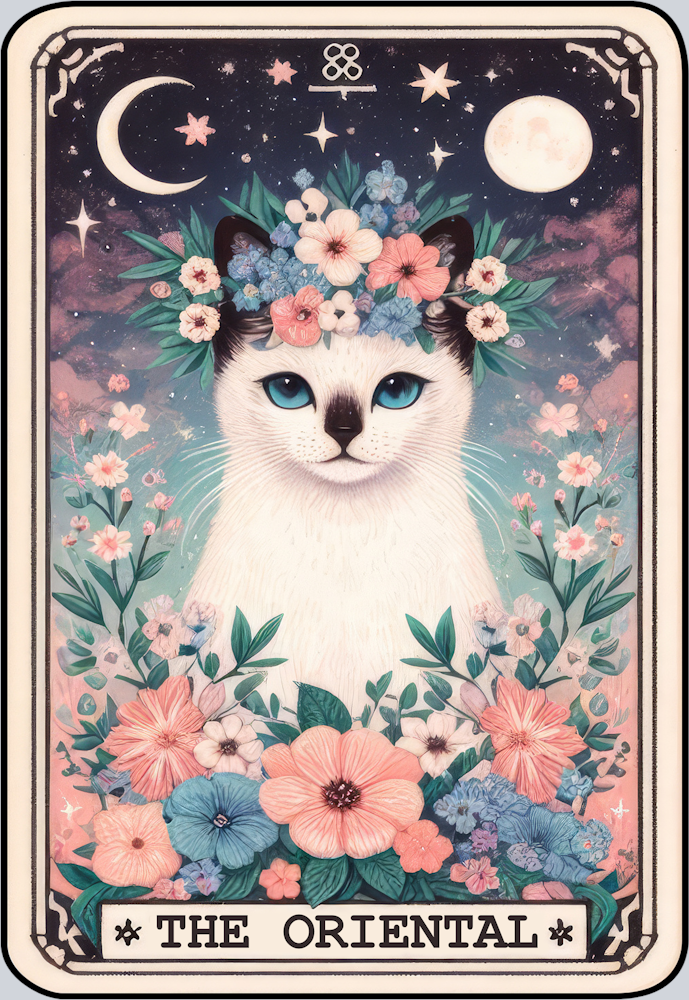 DTF Transfer Cats - Tarot Card Oriental