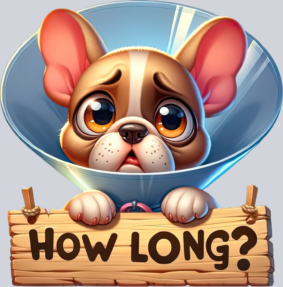 DTF Transfer Dogs - How Long French-Bulldog