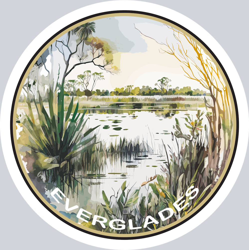 DTF Transfer National Parks - Everglades