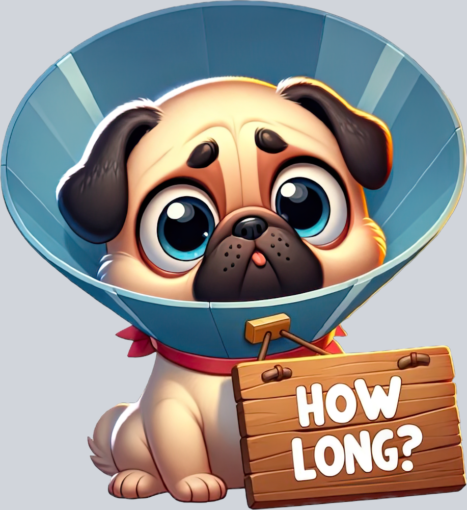 DTF Transfer Dogs - How Long Pug