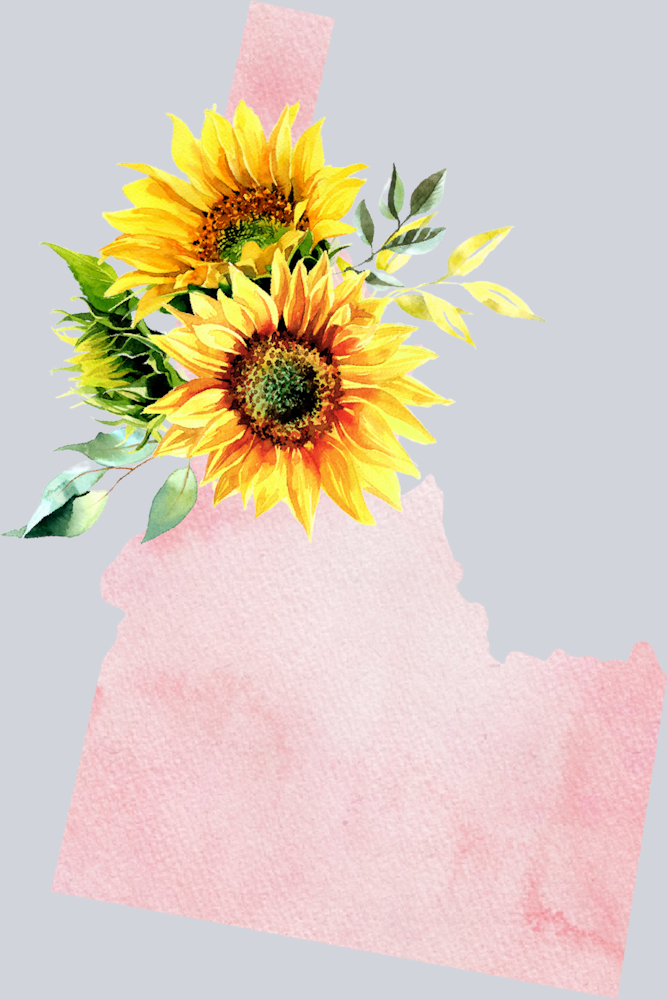 DTF Transfer Idaho - Sunflower Watercolor