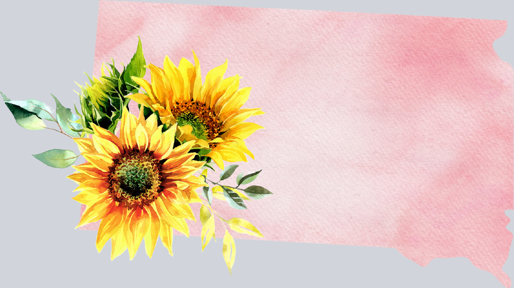 DTF Transfer South Dakota - Sunflower Watercolor
