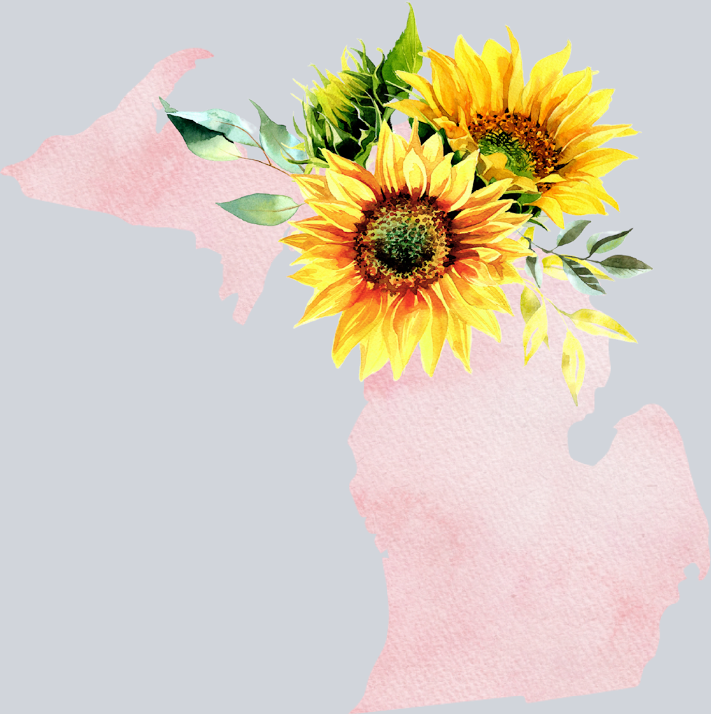 DTF Transfer Michigan - Sunflower Watercolor