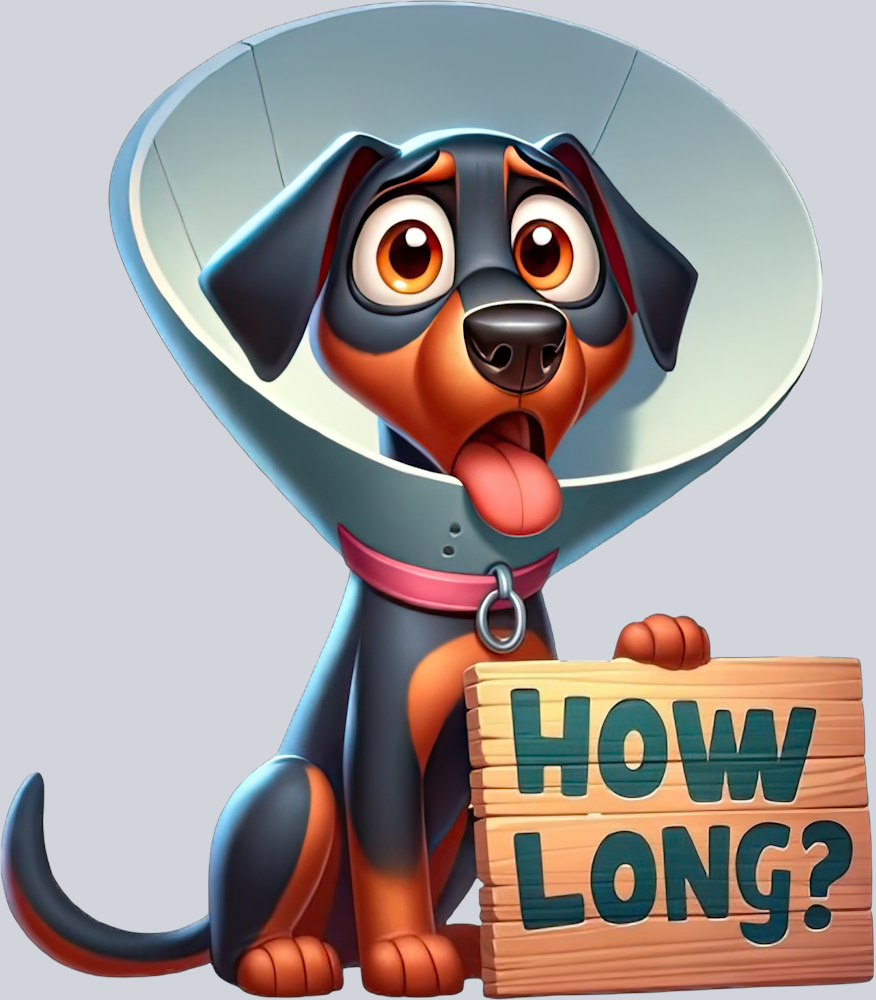 DTF Transfer Dogs - How Long Doberman