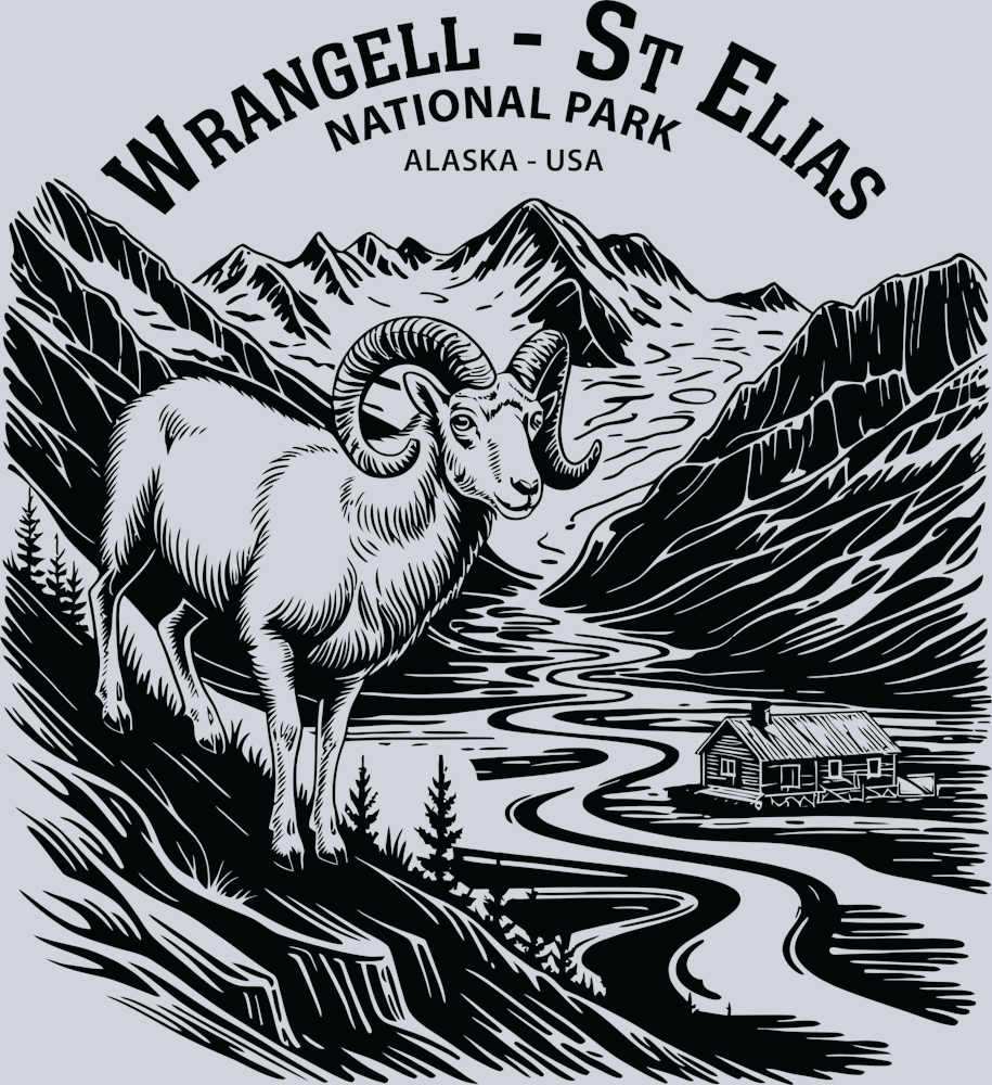 DTF Transfer National Parks - Wrangell St Elias National Park