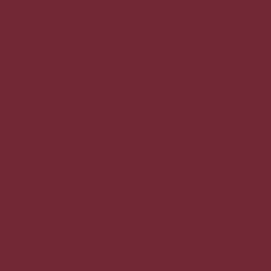 Siser Easyweed Stretch (Burgundy)