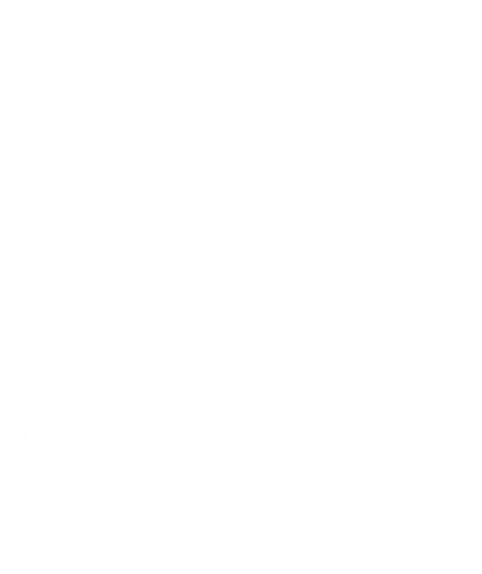 DTF Transfer - If It Flies It Dies (HFO64)