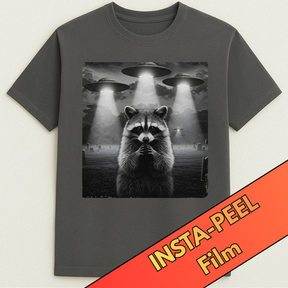 DTF Image by Size (INSTA Peel Film)