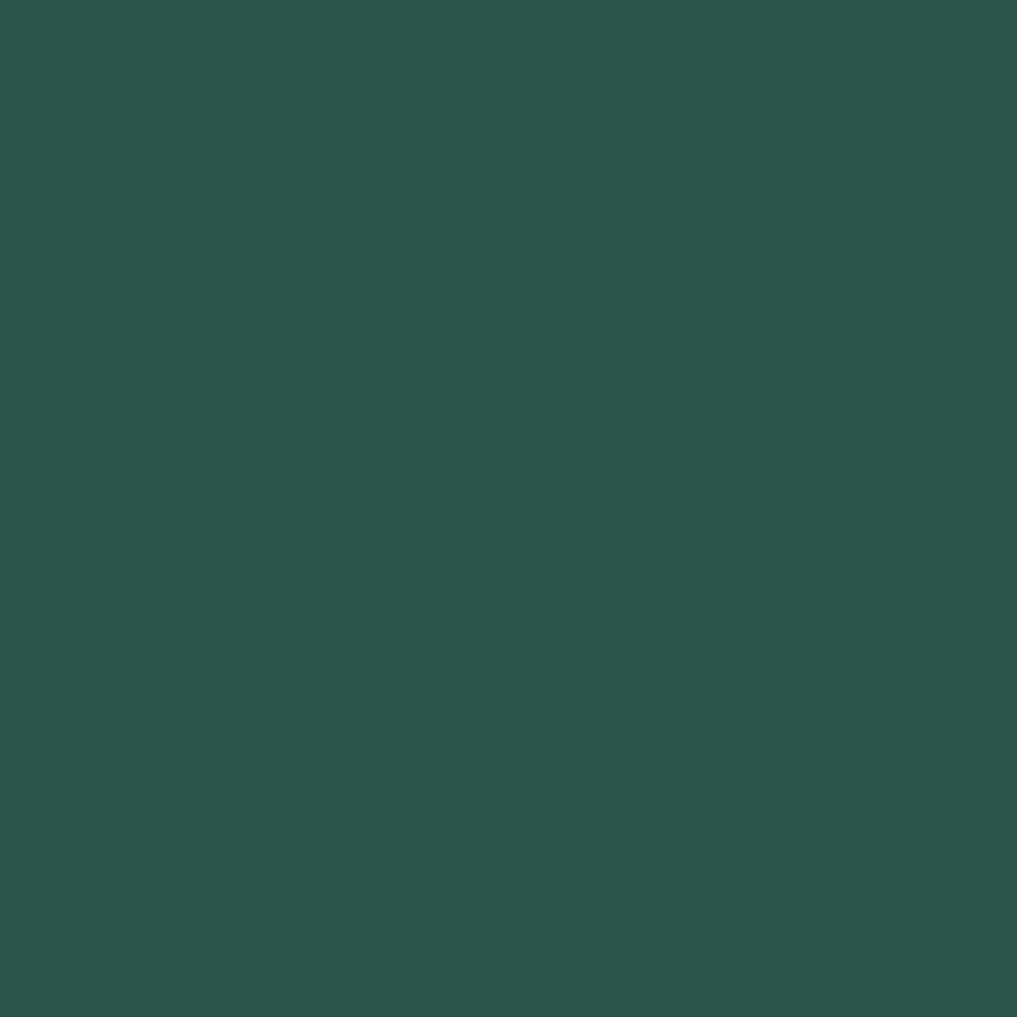 Siser Easyweed Stretch (Pine Green)