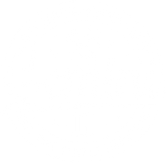DTF Transfer - Gemini (ZSIGN9)