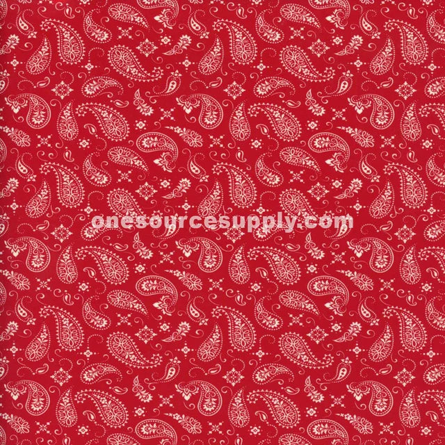 Specialty Materials ThermoFlex Fashion Patterns HTV | Unique Print Designs