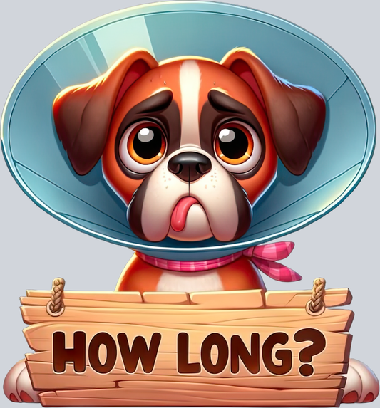 DTF Transfer Dogs - How Long Boxer