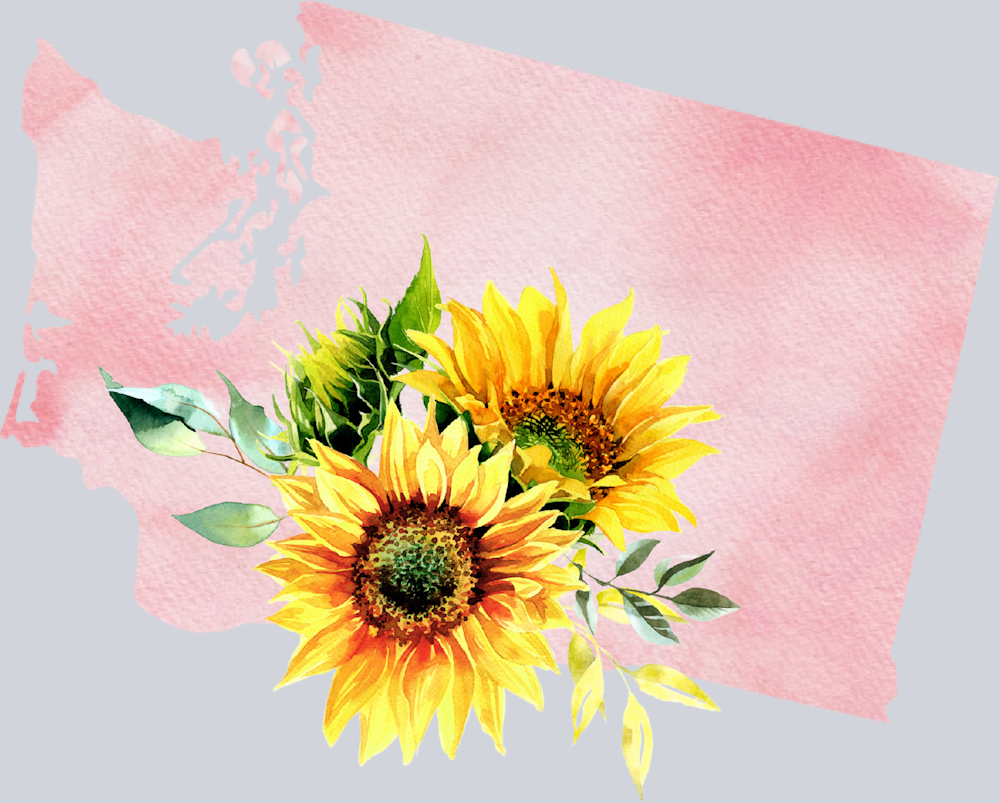 DTF Transfer Washington - Sunflower Watercolor