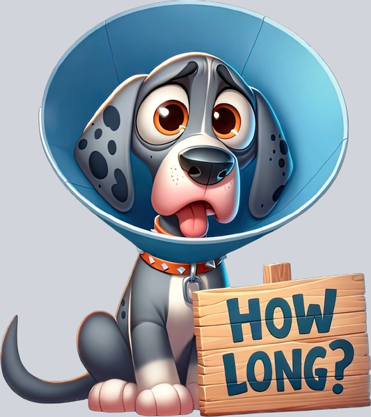 DTF Transfer Dogs - How Long Great-Dane