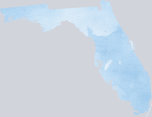 DTF Transfer Florida - Watercolor Blue