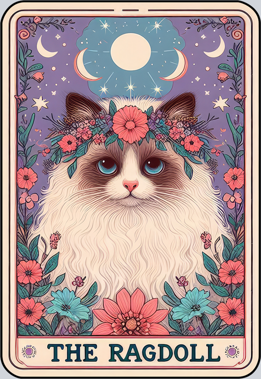 DTF Transfer Cats - Tarot Card Ragdoll