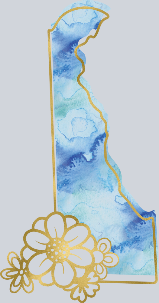 DTF Transfer Delaware - Watercolor