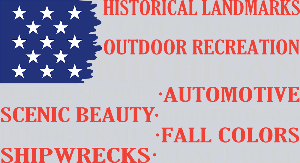 DTF Transfer Michigan - American Flag Words