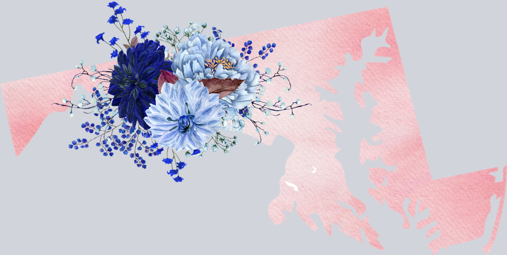 DTF Transfer Maryland - Flowers Watercolor