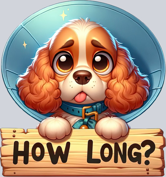 DTF Transfer Dogs - How Long Cocker-Spaniel