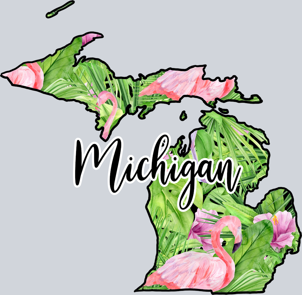 DTF Transfer Michigan - Flamingo
