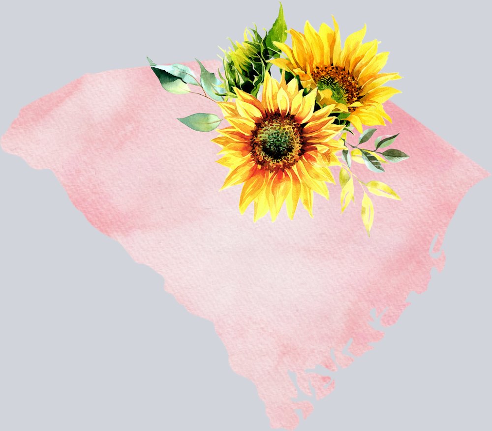 DTF Transfer South Carolina - Sunflower Watercolor