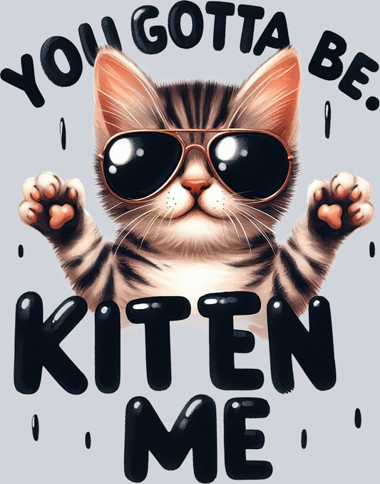 DTF Transfer Cats - You Gotta be Kitten Me 2