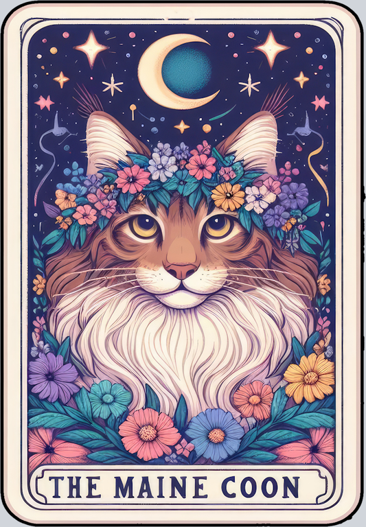 DTF Transfer Cats - Tarot Card Maine Coon