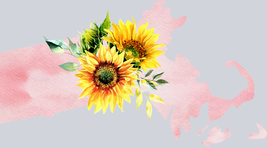 DTF Transfer Massachusetts - Sunflower Watercolor