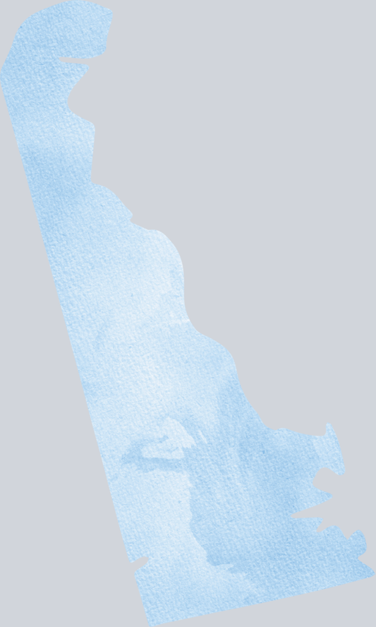 DTF Transfer Deleware - Watercolor Blue