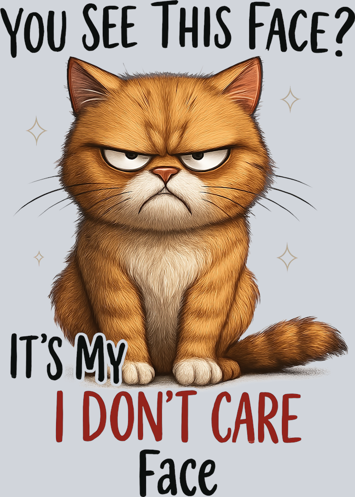 DTF Transfer Cats - You see This Face It's My I Don't Care Face