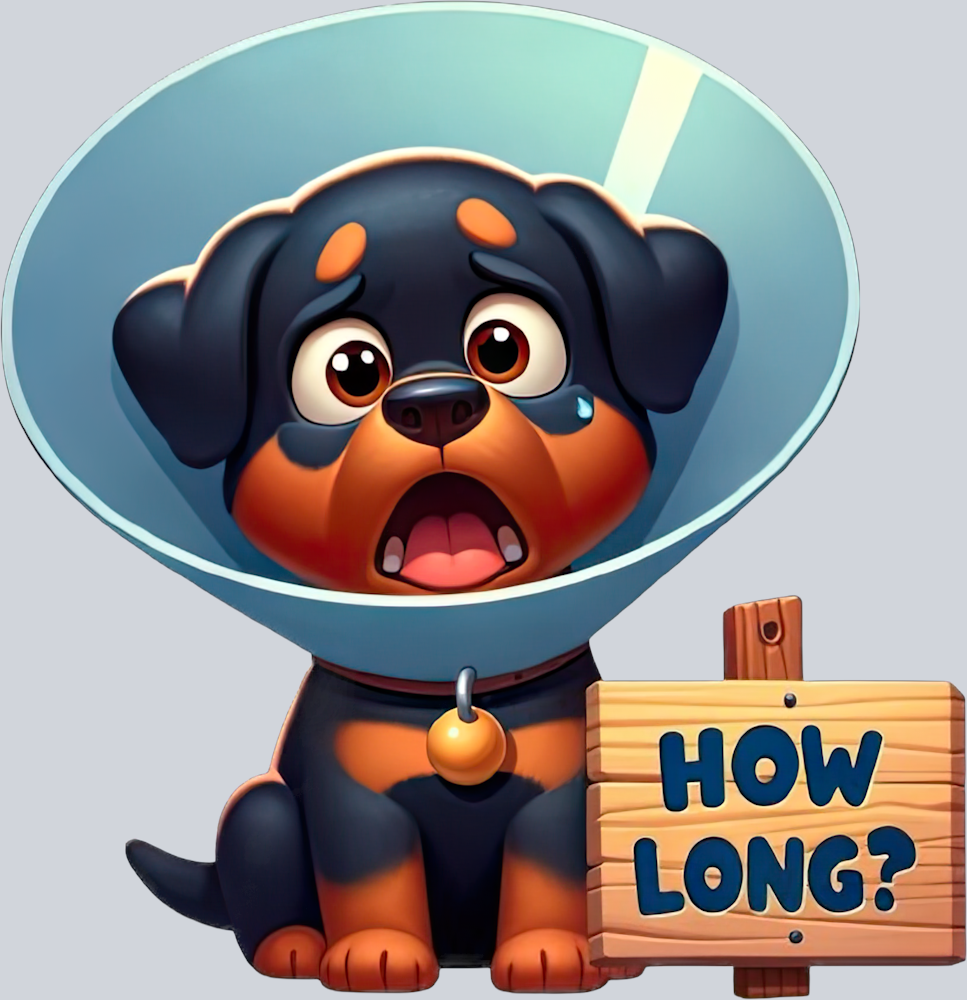 DTF Transfer Dogs - How Long Rottweiler