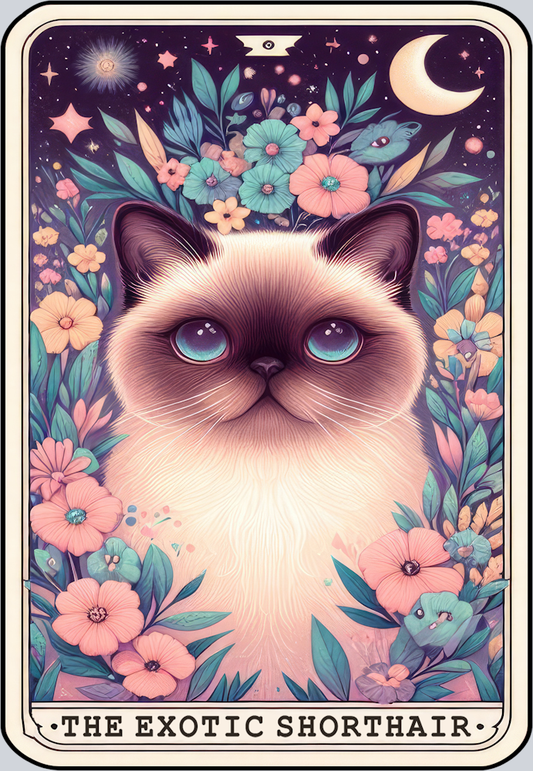 DTF Transfer Cats - Tarot Card Exotic Shorthair