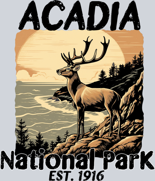 DTF Transfer National Parks - Acadia National Park