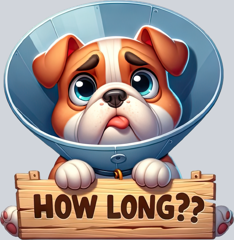 DTF Transfer Dogs - How Long English-Bulldog