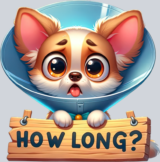 DTF Transfer Dogs - How Long Chihuahua