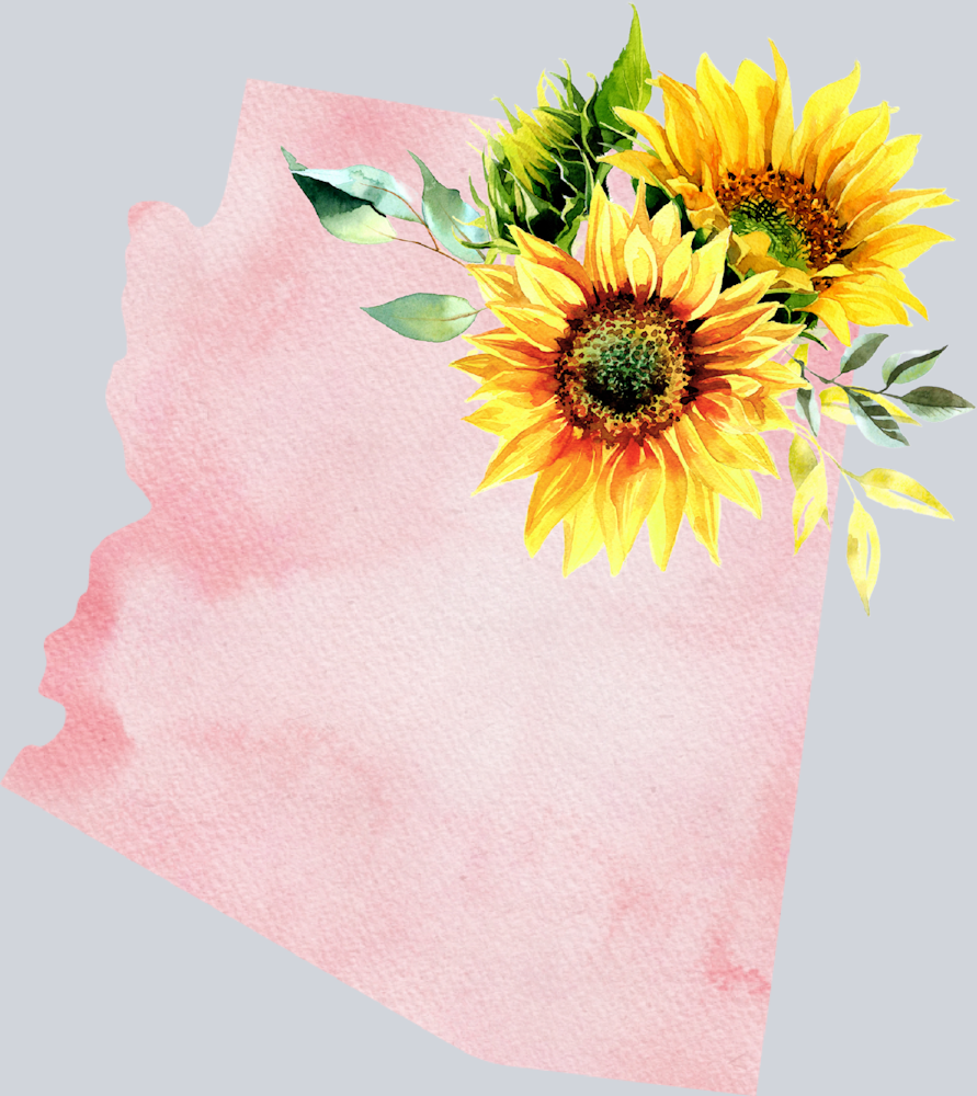 DTF Transfer Arizona - Sunflower Watercolor