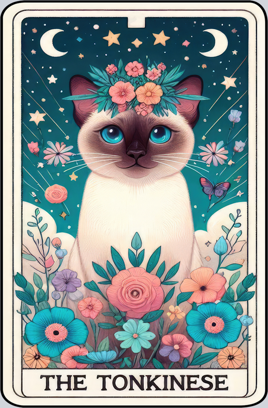 DTF Transfer Cats - Tarot Card Tonkinese