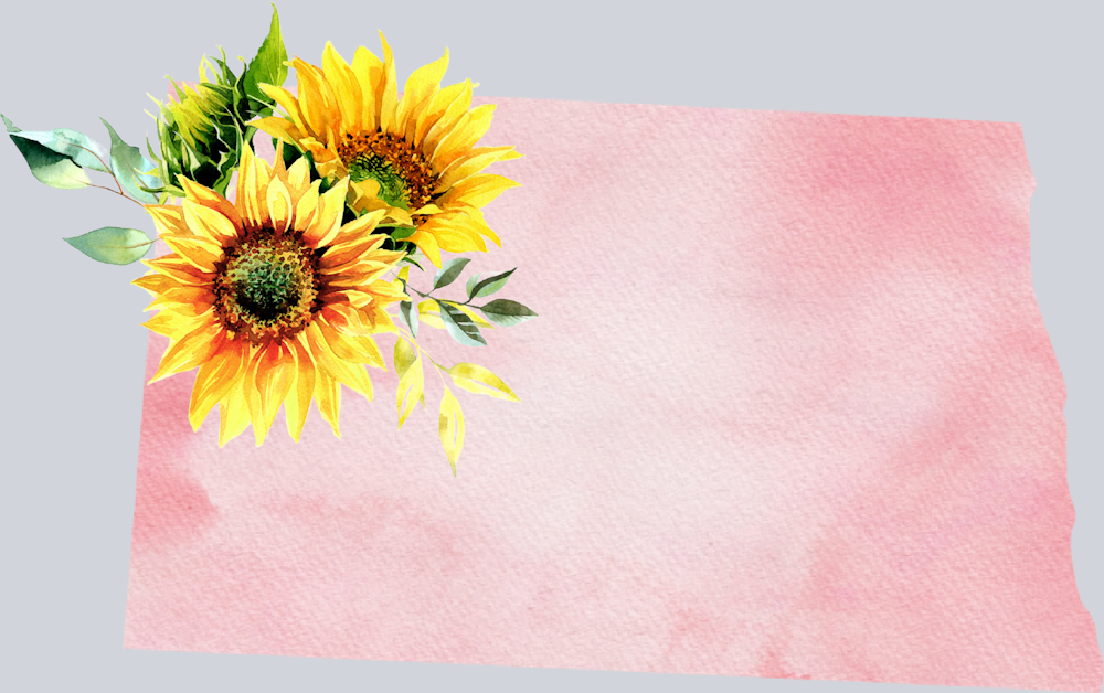 DTF Transfer North Dakota - Sunflower Watercolor