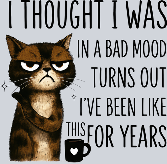 DTF Transfer Cats - I Thought I Was in a Bad Mood Turns Out I've Been Like This For Years